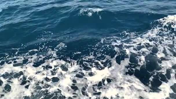 Olas marinas imágenes en cámara lenta. Natación en mar abierto — Vídeos de Stock