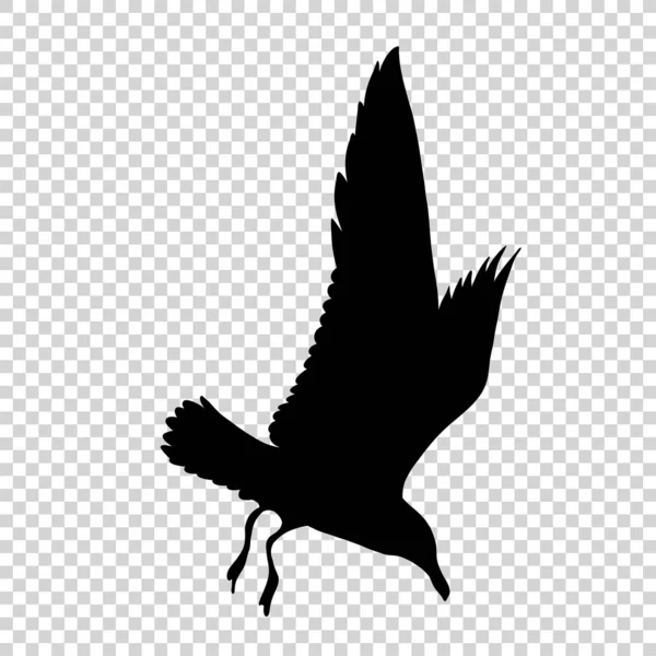 Gedetailleerde vogel zwart silhouet geïsoleerd — Stockvector