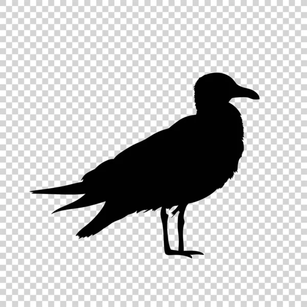 Gedetailleerde vogel zwart silhouet geïsoleerd — Stockvector