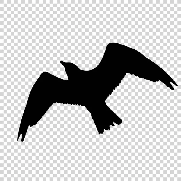 Pájaro detallado silueta negra aislado — Vector de stock