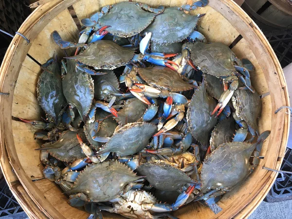 Coș de răchită cu crabi albaștri proaspeți . — Fotografie, imagine de stoc