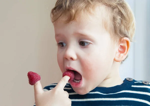 愛らしい男の子は新鮮な熟したラズベリーを食べています 子供のための健康的な食べ物と軽食のコンセプト — ストック写真