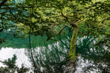 Mavi Göl (Caucasus, doğa)