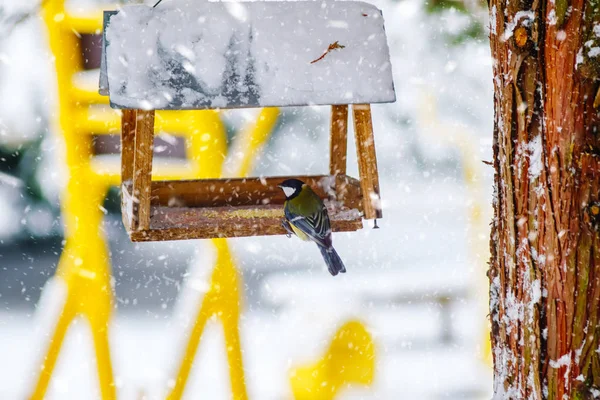 Koolmees zit op feeder gedekt sneeuw in de winter forest. — Stockfoto