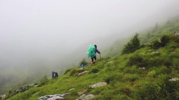 Группа туристов с рюкзаком спускается с горы Петрос, Карпаты — стоковое видео