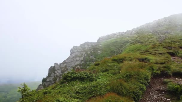 Wiatr chmury i mgła na górze Howerla w Karpatach — Wideo stockowe