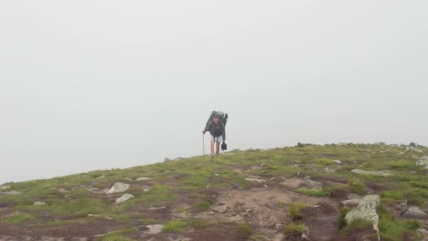 Turist klättrade upp på Hoverla bergstoppen, Karpaterna — Stockvideo