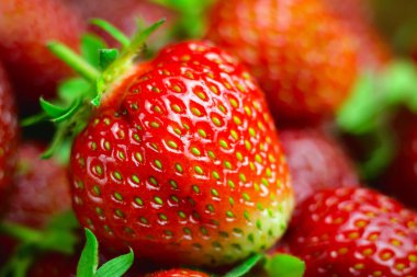 Taze organik çilek hasadı, makro resim, meyve arka planı.