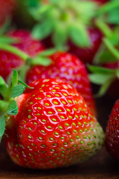 Harvest of fresh organic strawberries, macro image, fruits background.