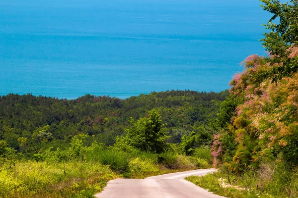 Tepeden deniz manzarası ve denize doğru inen yol..