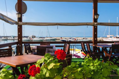 Balchik tatil köyündeki yat ve eğlence teknelerine bakan açık kafedeki saksıda çiçek..