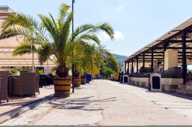 Bulgaristan 'ın Karadeniz kıyısındaki Balchik kasabasında palmiyeler, yazlık kafe ve deniz kıyısında restoranlar bulunan cadde.