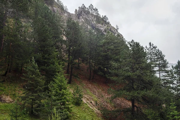 Montanhas Paisagem Paisagem Natural Rocha Floresta Tempo Chuva Perto Desfiladeiro — Fotografia de Stock