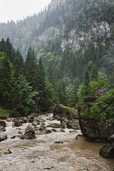 Wild Nature Landscape Scenery Bicaz River Flow Big Stones Carpathian — Stock Photo, Image