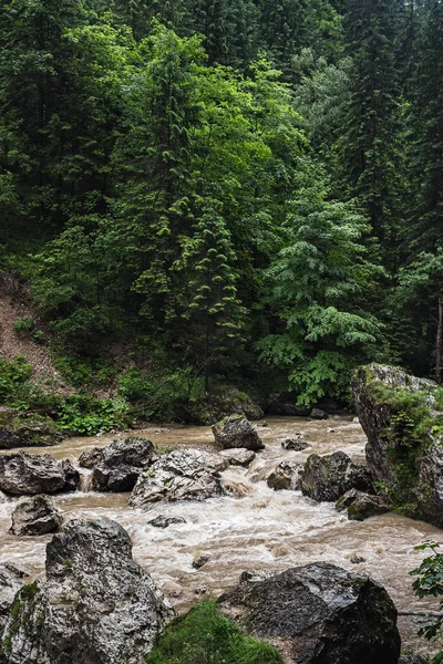 Wild Nature Landscape Scenery Bicaz River Flow Big Stones Carpathian — Stock Photo, Image