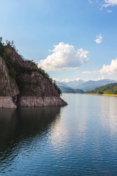 Romanya 'daki Carpathian dağlarında Vidraru Gölü, yazın vahşi doğa manzarası.