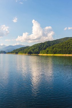 Romanya 'daki Carpathian dağlarında Vidraru Gölü, yazın vahşi doğa manzarası.
