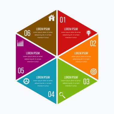 Vektör çizim infographics altı seçenekleri