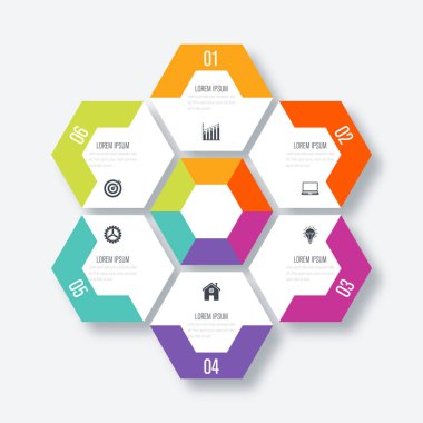Vektör çizim infographics altı seçenekleri