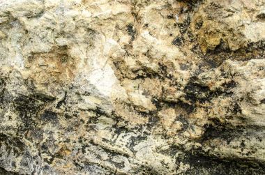 Sarı kireç büyük doku.
