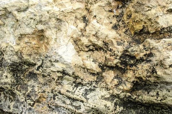 Textura masiva de piedra caliza amarilla . — Foto de Stock