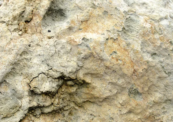 A large surface of the limestone slab. Stock Picture