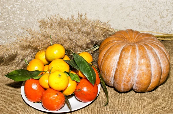 Pumpkin, dish with persimmon and tangerines close-up. — Stock Photo, Image