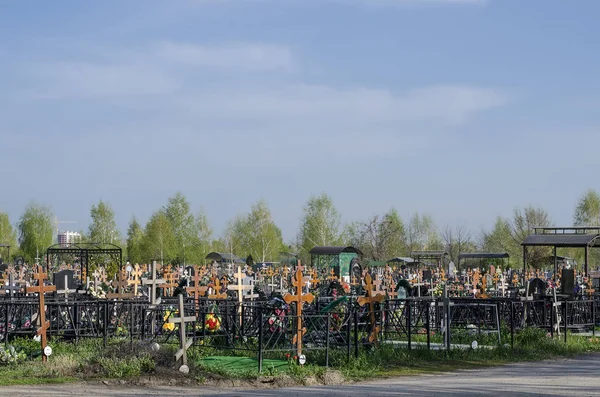 Şehir mezarlığı yeşil ağaçlar arka planı ve 