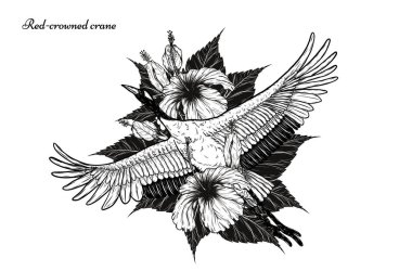 El çizimiyle çiçek vektörü ile kırmızı taçlı turna. Beyaz arka planda güzel bir kuş. Grus japonensis sanatı çizgi sanatında son derece detaylı. Dövme veya duvar kağıdı için Çin kuşu..