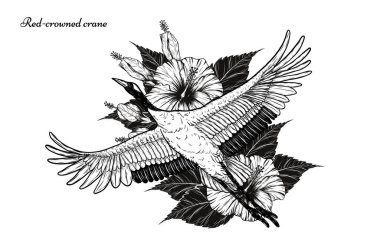 El çizimiyle çiçek vektörü ile kırmızı taçlı turna. Beyaz arka planda güzel bir kuş. Grus japonensis sanatı çizgi sanatında son derece detaylı. Dövme veya duvar kağıdı için Çin kuşu..