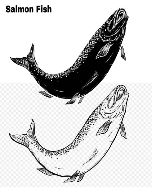 Salmon Art Highly Detailed Line Art Style Fish Vector Hand — Stock Vector
