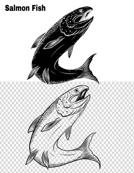 Somon Sanatı Sanat Stilinde Son Derece Detaylı Balık Vektörü Beyaz — Stok Vektör