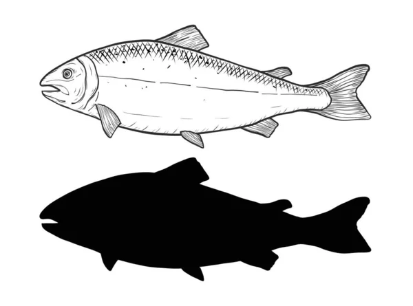 Somon Sanatı Sanat Stilinde Son Derece Detaylı Balık Vektörü Beyaz — Stok Vektör