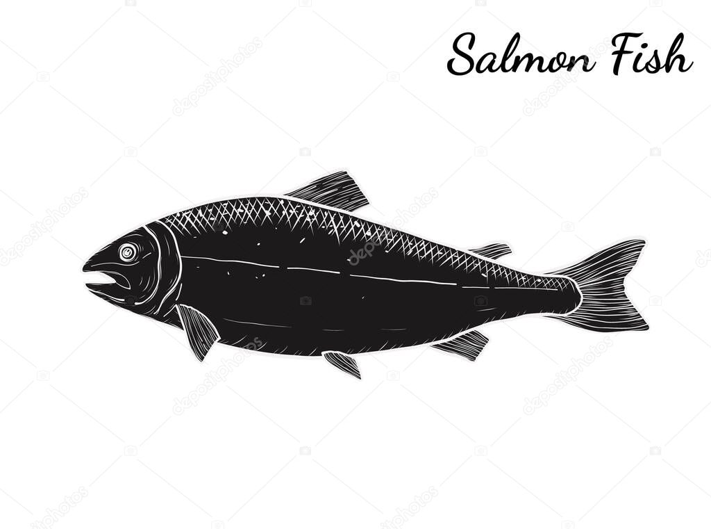Salmon art highly detailed in line art style.Fish vector by hand drawing.Fish tattoo on white background.Black and white fish vector on white background.Salmon fish sketch for coloring book.