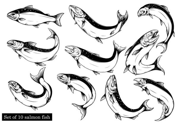 Somon Sanatı Sanat Stilinde Son Derece Detaylı Somon Balığı Vektörü — Stok Vektör