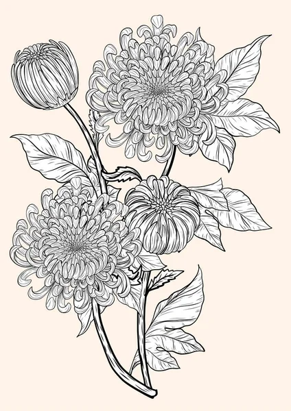 Chrysanthemum Vector Brown Background Chrysanthemum Flower Hand Drawing Floral Tattoo — Stock Vector