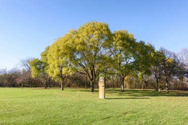 Ağaçlar Finans Merkezi Viyana Tuna Park