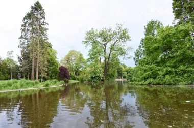 Göl ve ağaçları ile stadpark yansıma görüntüleyin