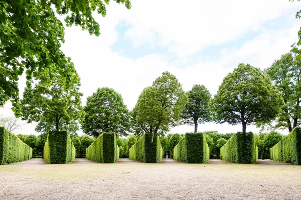 Schonbrunn Garden yeşil labirent
