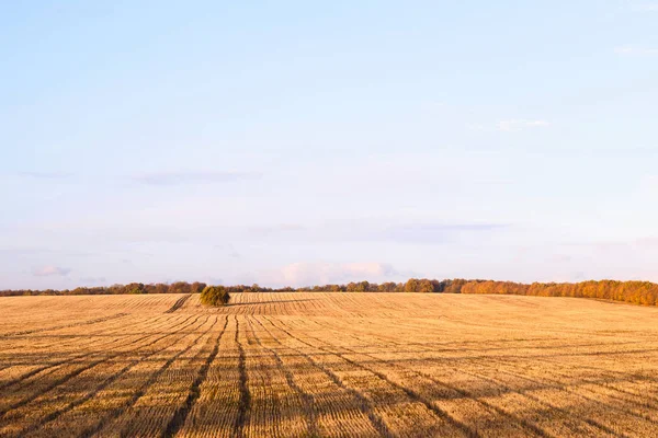 Campo de trigo recién cortado en otoño en un pueblo de Moldavia — Foto de Stock
