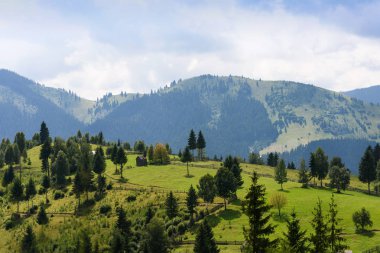 Yeşil alanlar ile bucovina içinde dağ manzarası