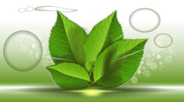 Dijital vektör soyut boş yeşil renkli