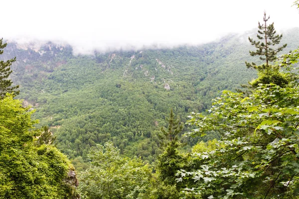 Berg och dimma nära Budva — Stockfoto