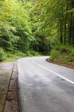 Budva yakınındaki dağlarda yol