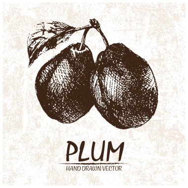 Dijital vektör Erik elle çizilmiş ayrıntılı