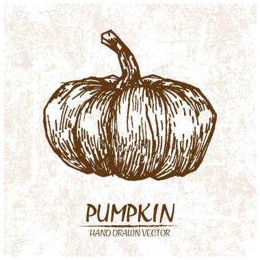 Dijital detaylı kabak elle çizilmiş vektör