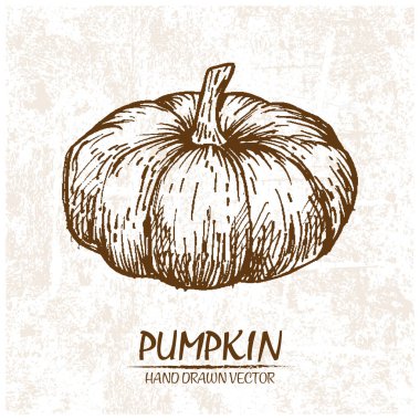 Dijital detaylı kabak elle çizilmiş vektör