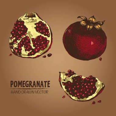 Dijital vektör renk nar el ayrıntılı