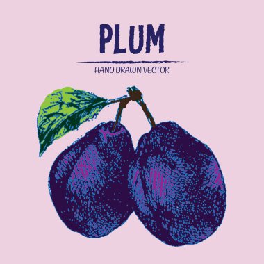 Dijital vektör renk Erik elle çizilmiş ayrıntılı