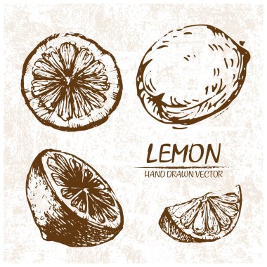 Dijital vektör limon elle çizilmiş ayrıntılı